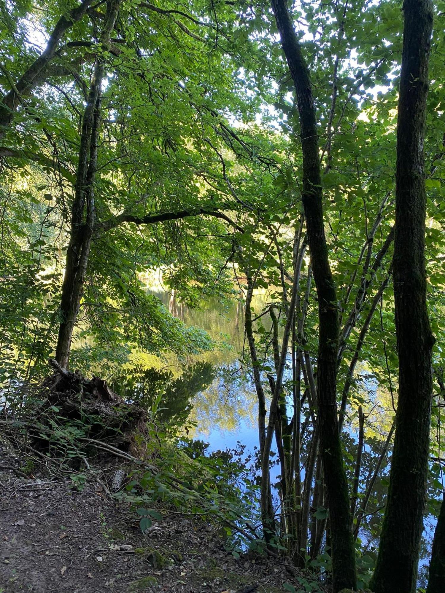Ferienhaus Vulkaneifel Abtei Himmerod Grosslittgen Ngoại thất bức ảnh