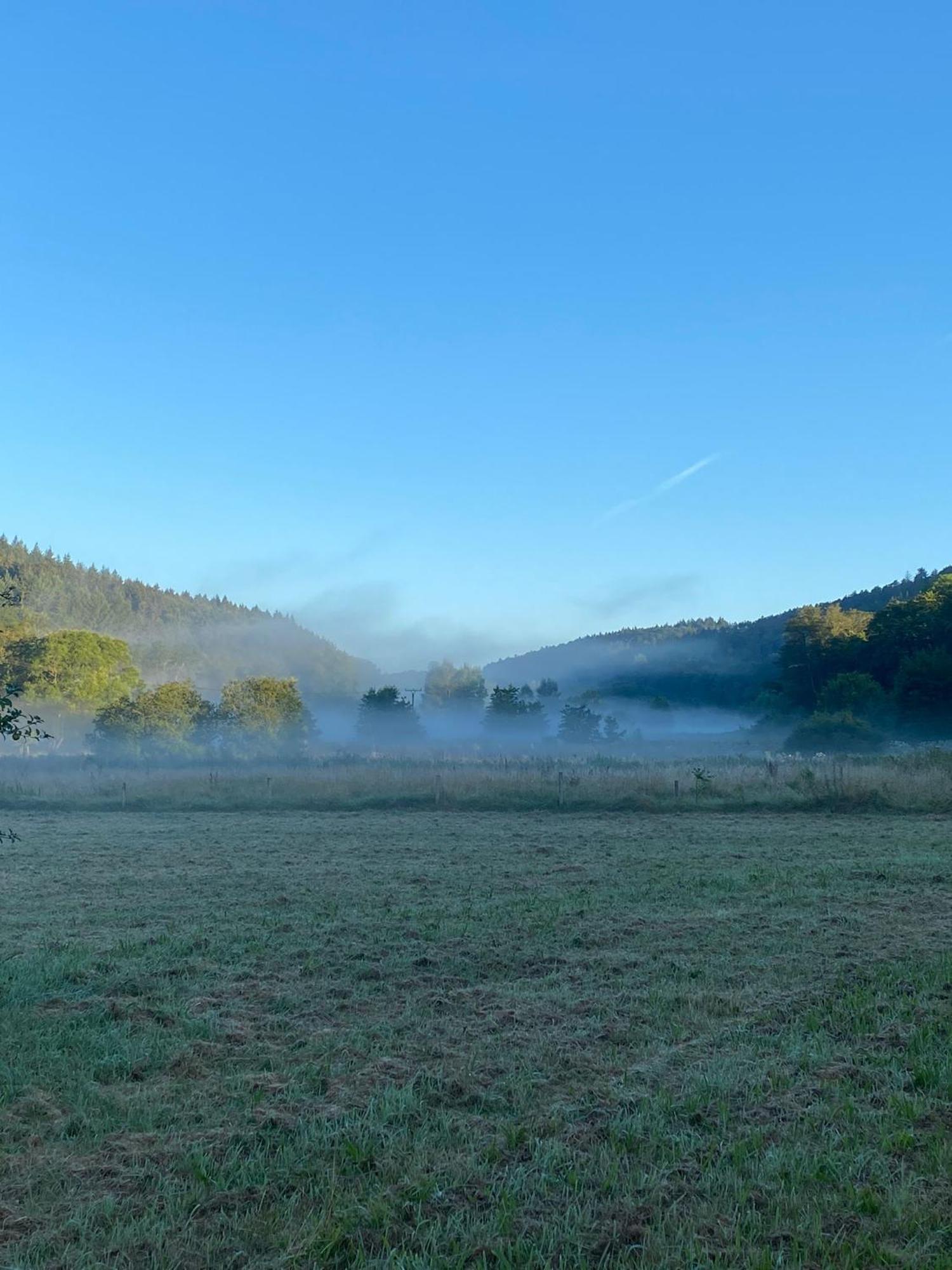 Ferienhaus Vulkaneifel Abtei Himmerod Grosslittgen Ngoại thất bức ảnh