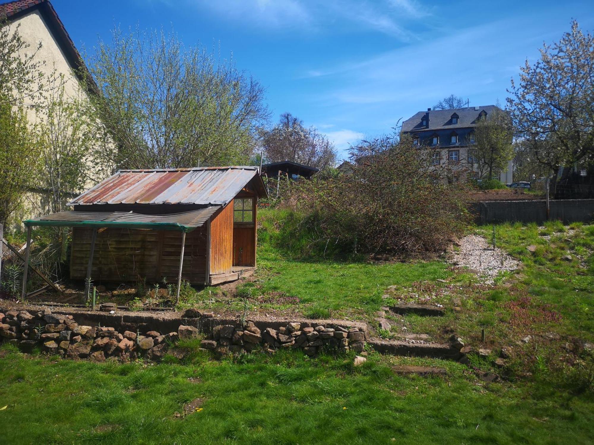 Ferienhaus Vulkaneifel Abtei Himmerod Grosslittgen Ngoại thất bức ảnh