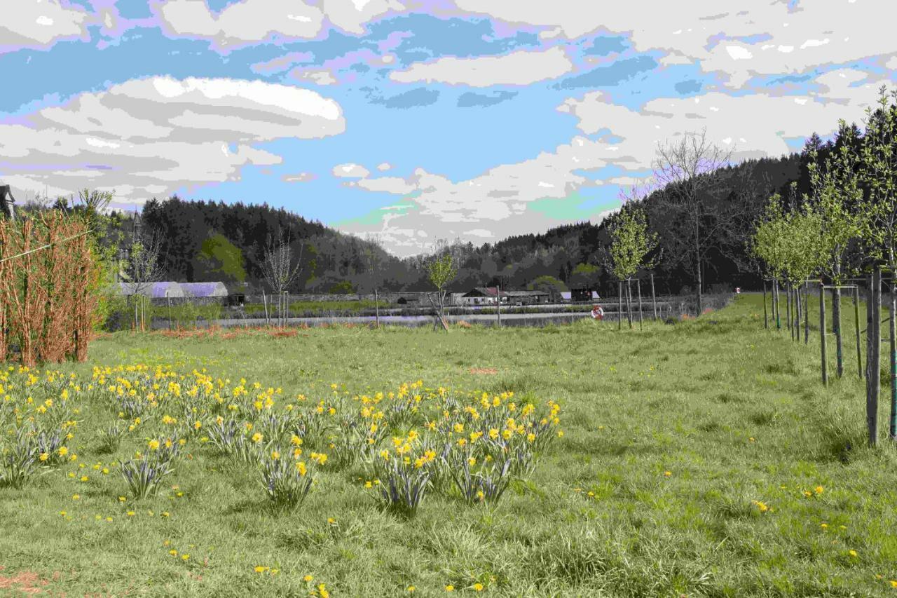 Ferienhaus Vulkaneifel Abtei Himmerod Grosslittgen Ngoại thất bức ảnh