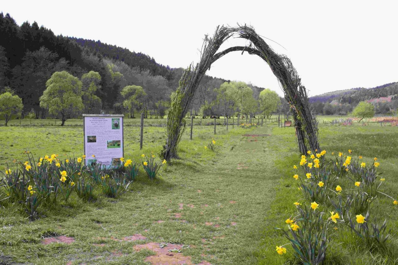 Ferienhaus Vulkaneifel Abtei Himmerod Grosslittgen Ngoại thất bức ảnh