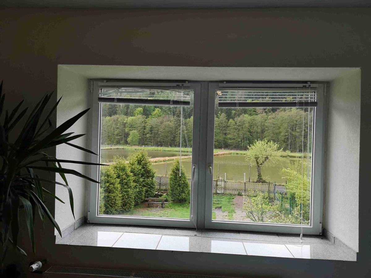 Ferienhaus Vulkaneifel Abtei Himmerod Grosslittgen Ngoại thất bức ảnh